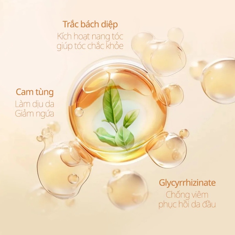 thegioiskinfood.com - Dầu Gội Chando Himalaya Anti-Hair Loss & Strengthening Shampoo 600ml - Làm sạch tóc, ngăn ngừa gãy rụng tóc