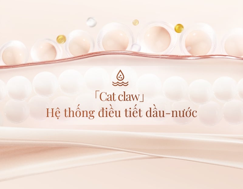 Kem Nền Carslan Dưỡng Ẩm, Kiềm Dầu Lâu Trôi Lasting Foundation 4.0