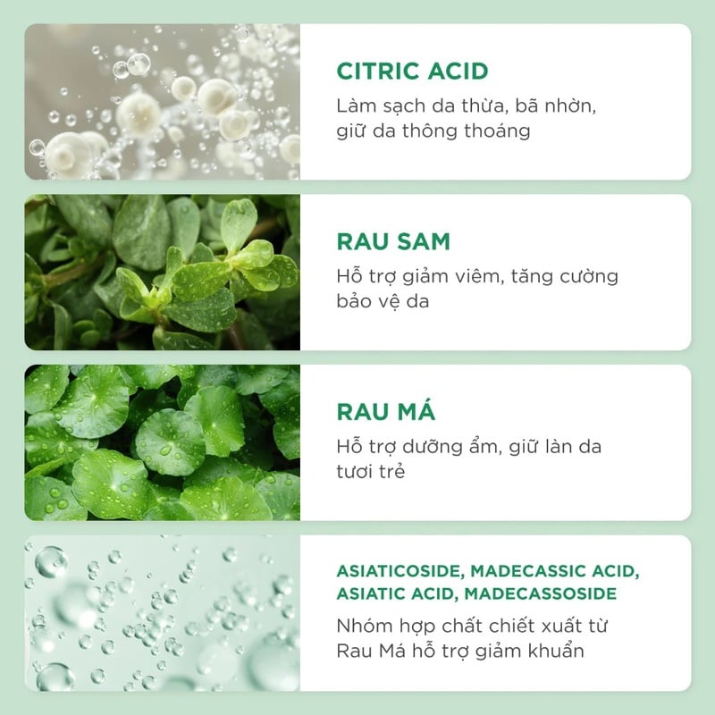 thegioiskinfood.com - Nước Tẩy Trang Caryophy Dành Cho Da Dầu Mụn Smart Cleansing Water