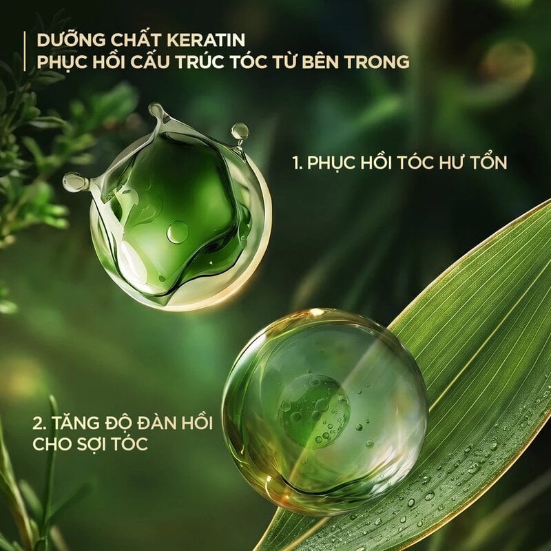 Dầu Gội Fresh Natural Chiết Xuất Tre Hỗ Trợ Giảm Gàu, Phục Hồi Tóc Hư Tổn & Bồng Bềnh Tóc 650g