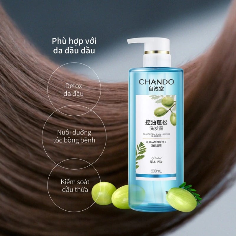 thegioiskinfood.com - Dầu Gội Chando Himalaya Oil Control & Volumizing Shampoo 600ml - Hỗ trợ kiểm soát dầu và làm phồng tóc