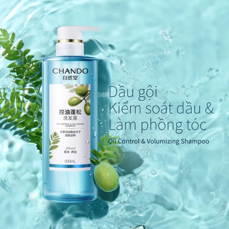thegioiskinfood.com - Dầu Gội Chando Himalaya Oil Control & Volumizing Shampoo 600ml - Hỗ trợ kiểm soát dầu và làm phồng tóc