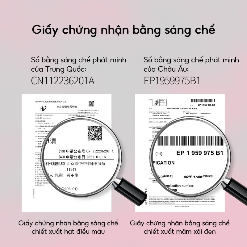 thegioiskinfood.com - Phấn Nước Cấp Ẩm, Kiềm Dầu, Lâu Trôi VEECCI Essence Lock Makeup Mesh Cushion Cream 10g