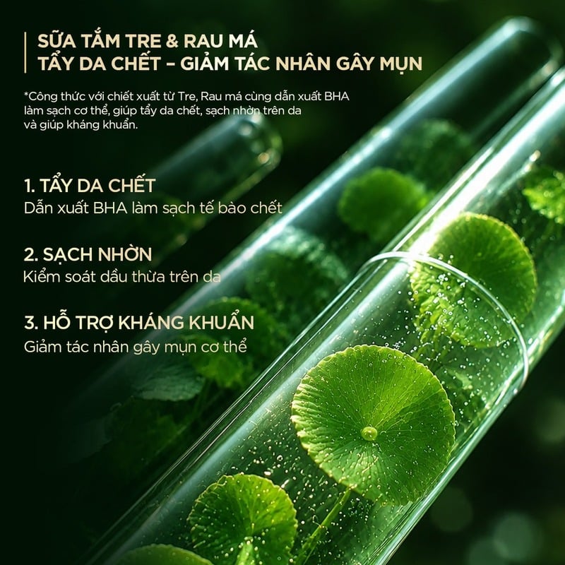 Sữa tắm Fresh Natural Chiết Xuất Tre Hỗ trợ Làm Sạch, Duy Trì Độ Đàn Hồi Và Giúp Da Mềm Mịn 700g