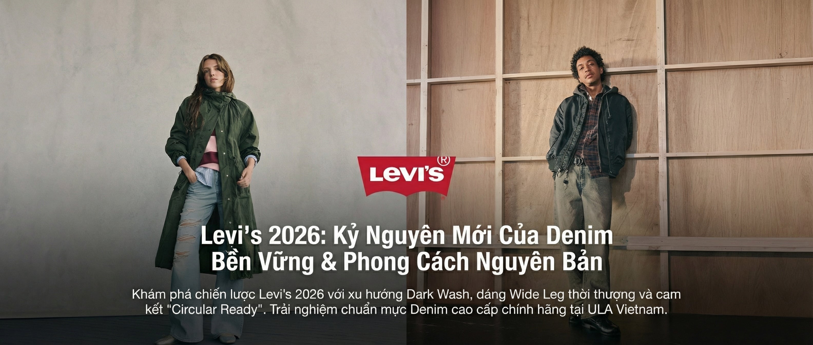 levis Banner