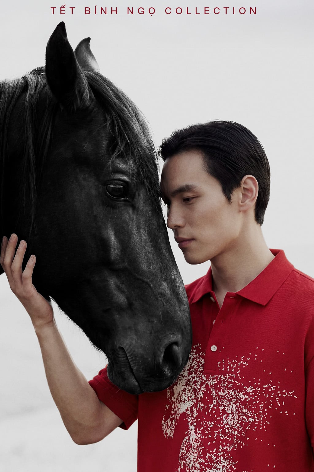 TET BINH NGO COLLECTION