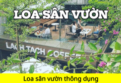 Top 12 loa sân vườn thông dụng nhất hiện nay trên thị trường