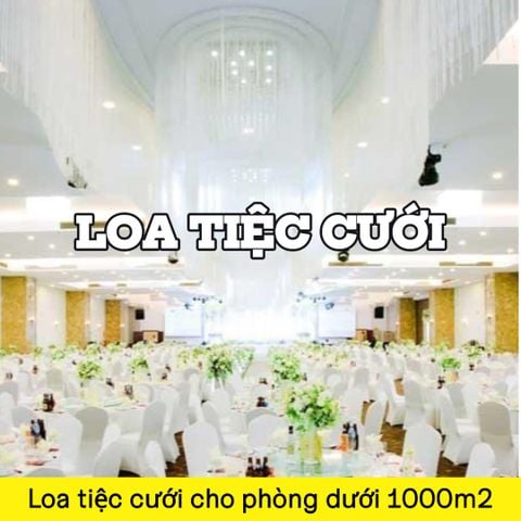 loa nhà hàng tiệc cưới