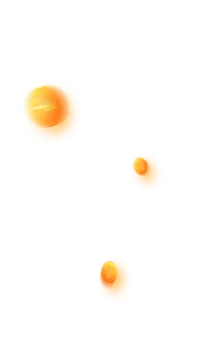icon 4