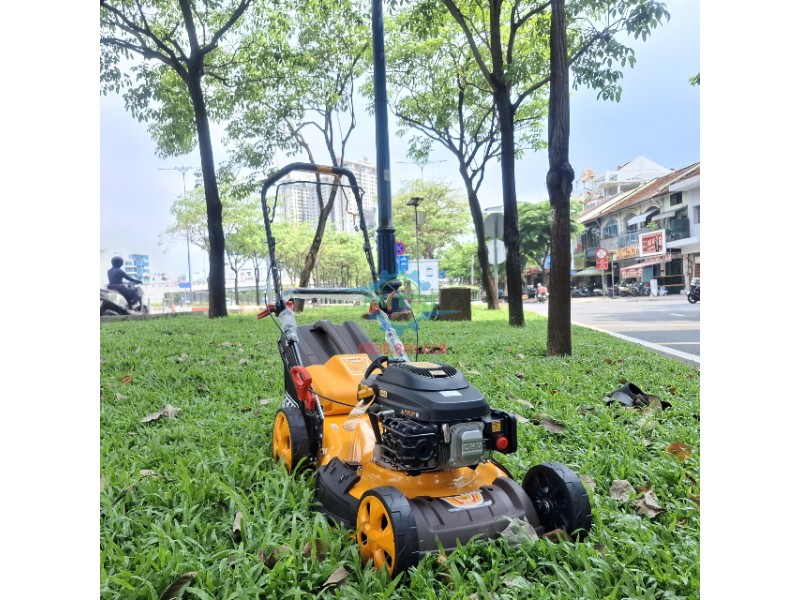 Máy cắt cỏ đẩy tay dùng xăng Ingco GLM196202 chính diện