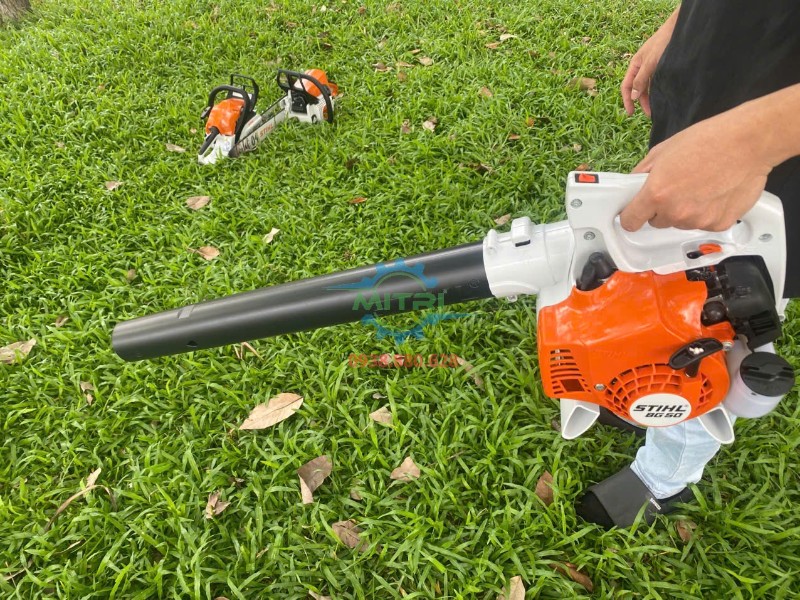 Ứng dụng sân vườn của máy thổi lá STIHL BG 50