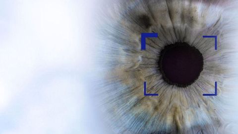 3 Dòng Tròng Kính ZEISS Phổ Biến Nhất Tại Việt Nam Hiện Nay