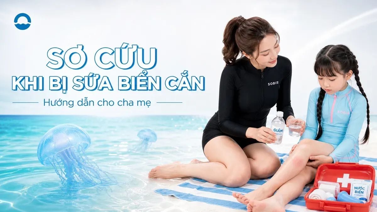 Sơ cứu khi bị sứa biển cắn: Hướng dẫn cho cha mẹ