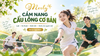 Luật & Kỹ thuật cầu lông cơ bản cho người mới – Cẩm nang Merly Cup 2027