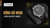 Đồng hồ MVW của nước nào? Đánh giá chất lượng chi tiết