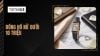 Top 5 mẫu đồng hồ nữ dưới 10 triệu bền, đẹp và đáng mua nhất 2026