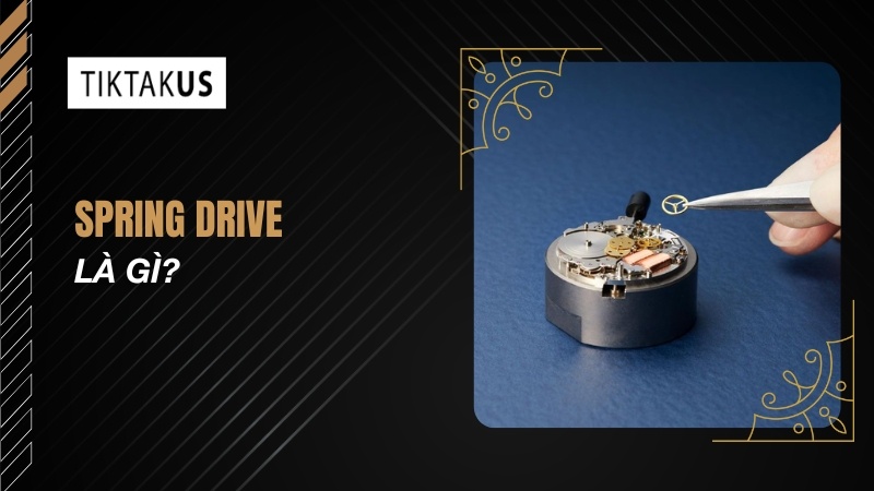 Spring Drive là gì? Công nghệ độc quyền của Grand Seiko - Tiktakus