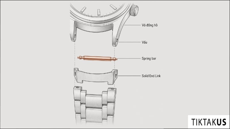 Sơ đồ vị trí Solid End Link và spring bar giữa dây với vấu đồng hồ