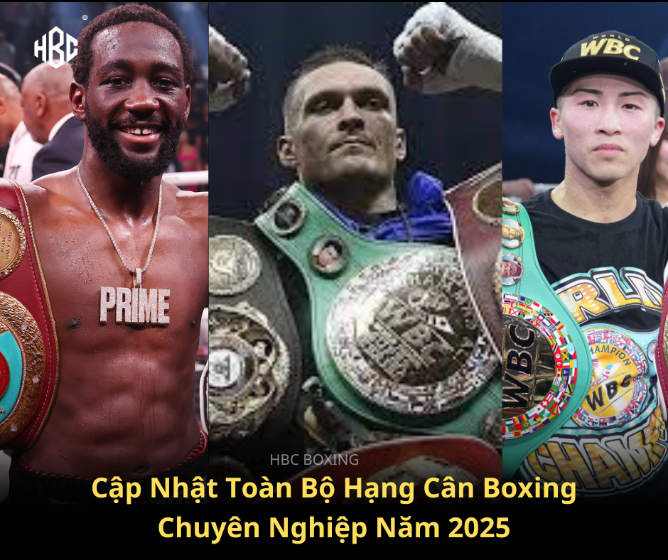 Cập Nhật Toàn Bộ Hạng Cân Boxing Chuyên Nghiệp Năm 2025 (Theo WBA, WBC, IBF, WBO)