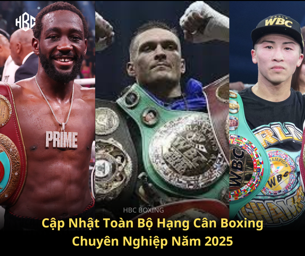 Cập Nhật Toàn Bộ Hạng Cân Boxing Chuyên Nghiệp Năm 2025 (Theo WBA, WBC, IBF, WBO)