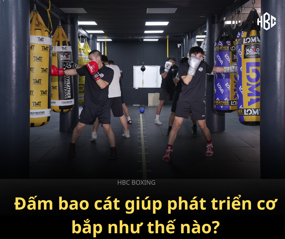 Đấm bao cát giúp phát triển cơ bắp như thế nào?