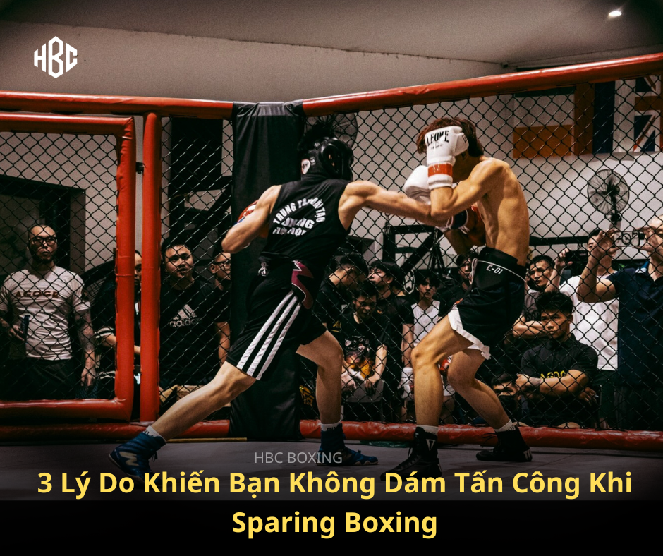 Vì Sao Bạn Không Dám Tấn Công Khi Sparring Boxing? 3 Nguyên Nhân Và Cách Khắc Phục