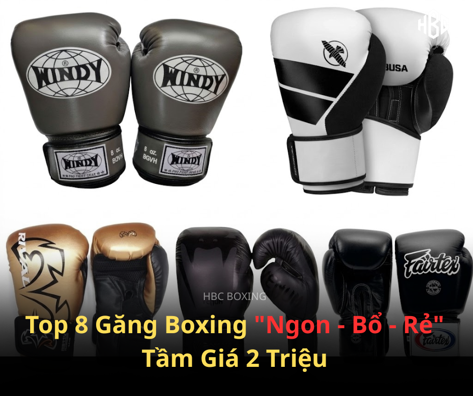 Top 7 găng Boxing 