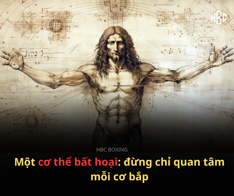 TƯ DUY CHIẾN BINH: XÂY DỰNG CƠ THỂ KHÔNG THỂ PHÁ VỠ