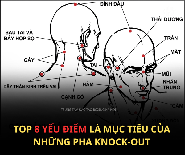 TOP CÁC ĐIỂM GÂY SÁT THƯƠNG ĐẾN KNOCK-OUT TRONG BOXING