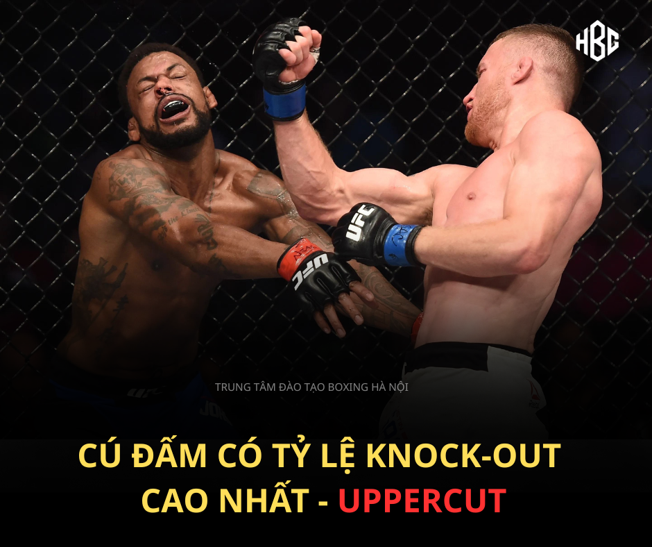 GIẢI MÃ TỶ LỆ KNOCK-OUT CỰC CAO CỦA UPPERCUT