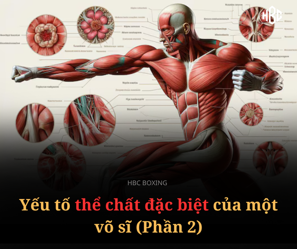 Yếu tố thể chất đặc biệt của một võ sĩ (Phần 2)