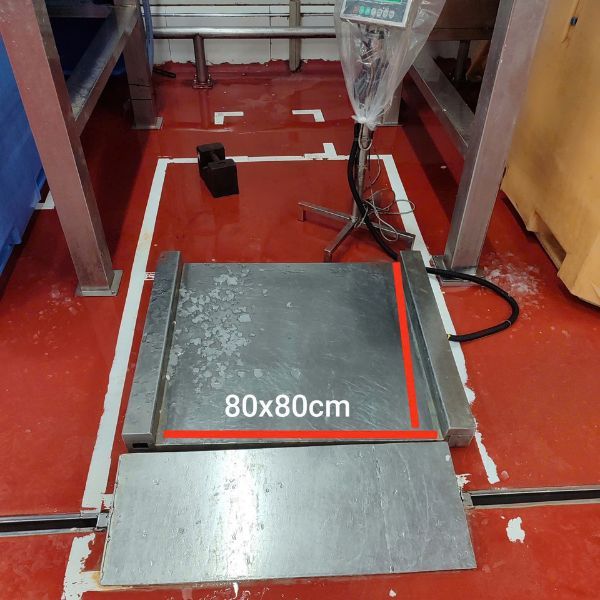 Cân sàn inox chống nước cho lò mổ