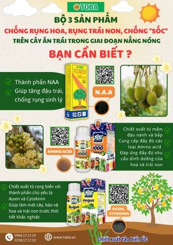 3 BƯỚC QUAN TRỌNG CẦN CHUẨN BỊ TRƯỚC MÙA NẮNG NÓNG, KHÔ HẠN SẮP ĐẾN LÀ GÌ?