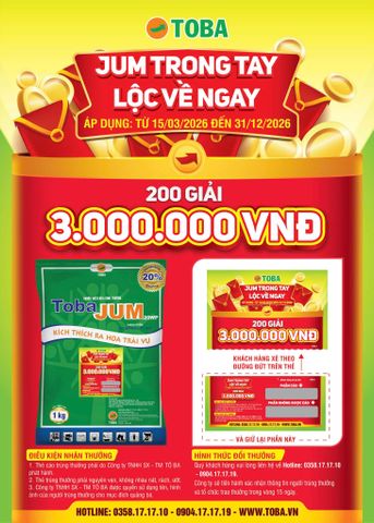 TRIỂN KHAI CHƯƠNG TRÌNH KHUYẾN MẠI 