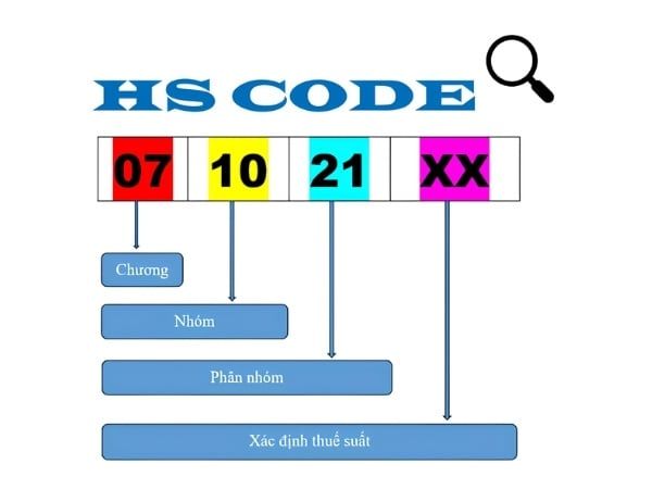 Tìm hiểu mã HS code xe nâng người