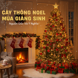 Khám Phá Cây Thông Mùa Giáng Sinh Có Nguồn Gốc Và Ý Nghĩa Như Thế Nào?