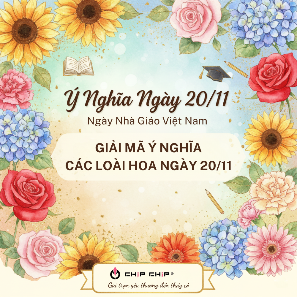 Ý Nghĩa Ngày 20/11 Và Giải Mã Ý Nghĩa Các Loài Hoa Ngày 20/11