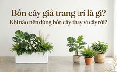 Bồn cây giả trang trí là gì? Khi nào nên dùng bồn cây thay vì cây rời?