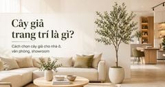 Cây giả trang trí là gì? Gợi ý chọn cây giả đẹp cho nhà ở, văn phòng và showroom