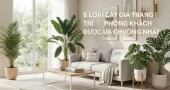 8 loại cây giả trang trí phòng khách được ưa chuộng nhất hiện nay