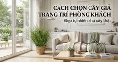 Cách chọn cây giả trang trí phòng khách đẹp và tự nhiên như cây thật