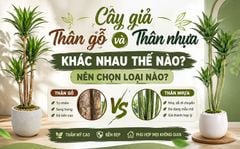 Cây giả thân gỗ và cây giả thân nhựa khác nhau thế nào? Nên chọn loại nào?