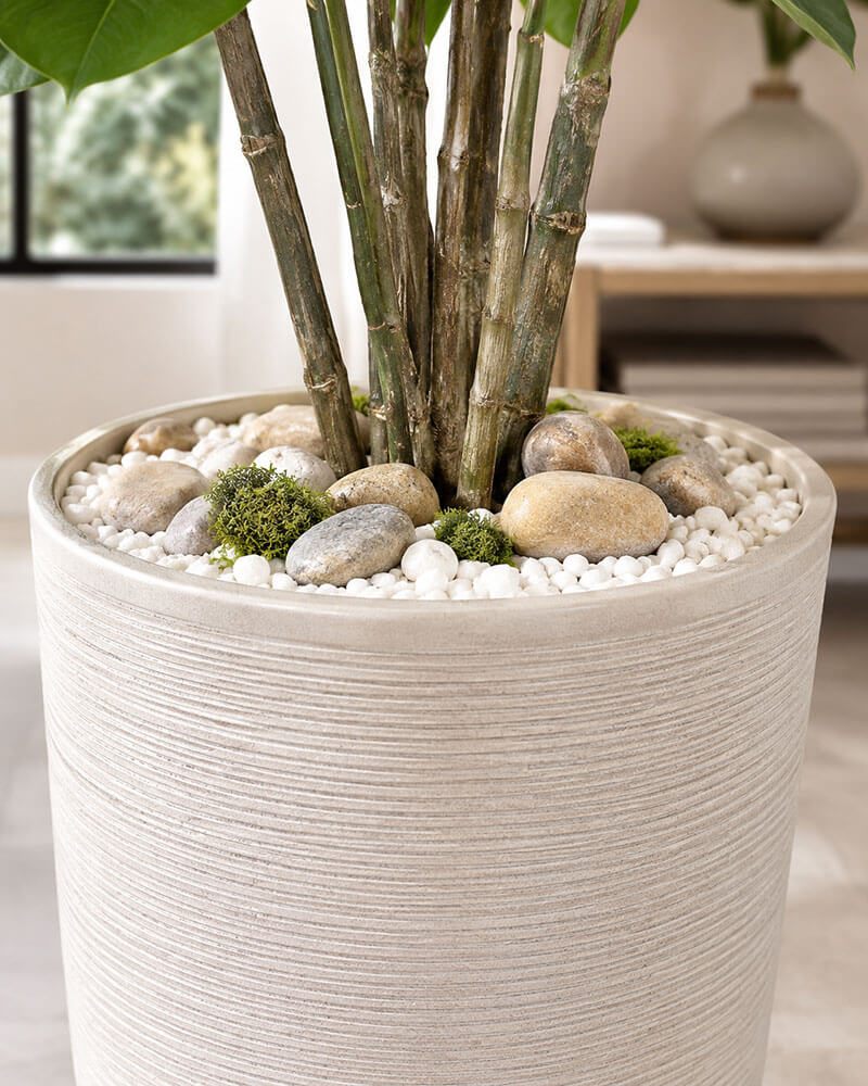 mặt chậu decor sỏi và rêu