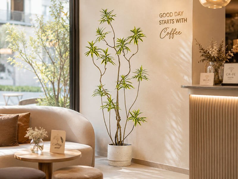 chậu trúc bách hợp đơn giản cho quán cafe hiện đại