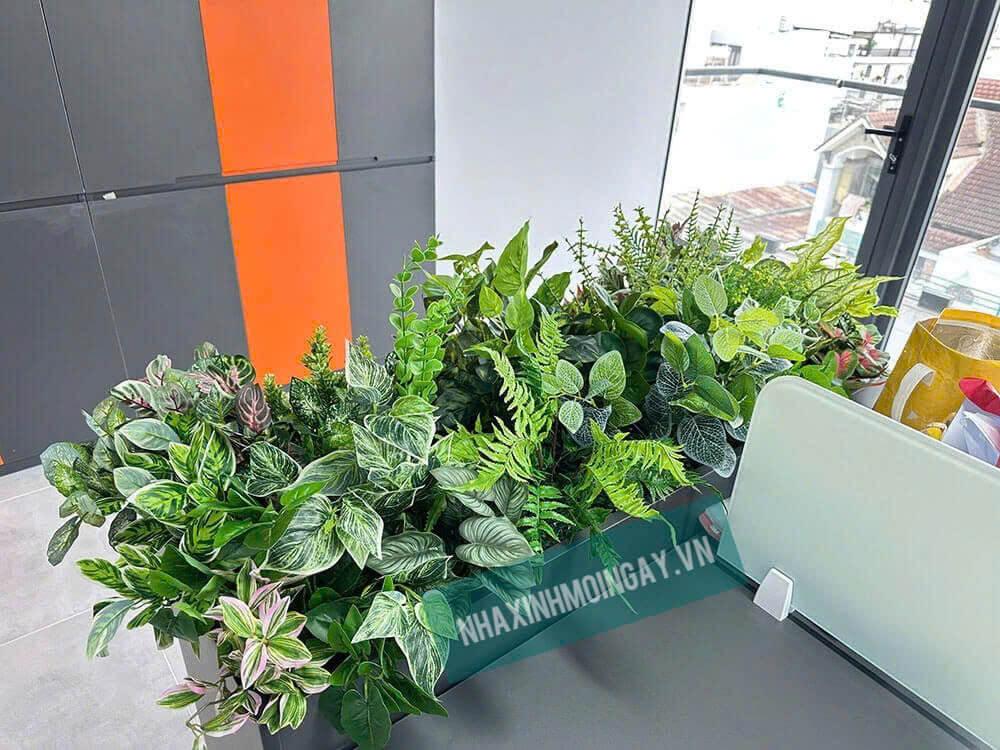 thi công hộp cây giả văn phòng Q7 -10