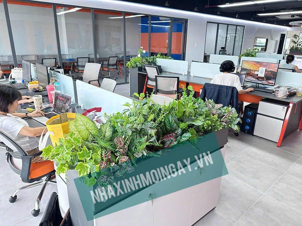 thi công hộp cây giả văn phòng Q7 -5