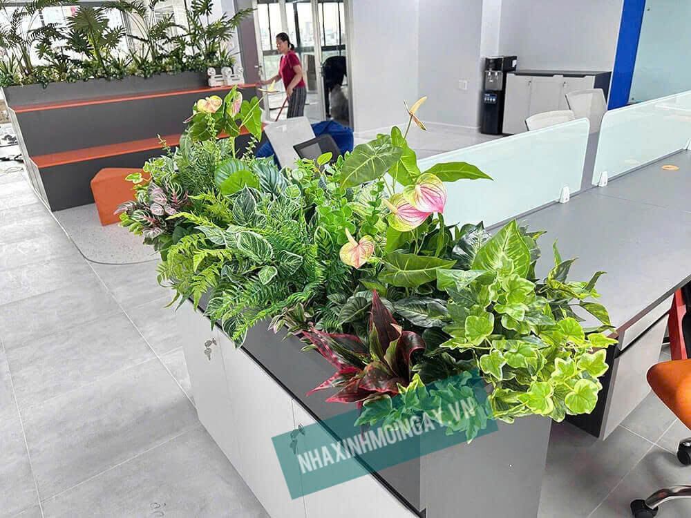 thi công hộp cây giả văn phòng Q7 -6