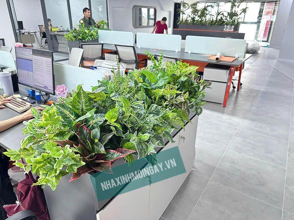 thi công hộp cây giả văn phòng Q7 -9