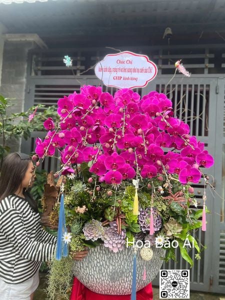 chau-hoa-lan-dep-tang-khach-2026