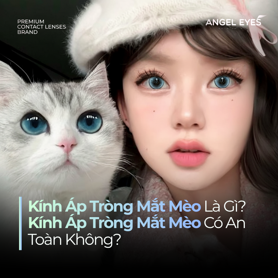 Kính Áp Tròng Mắt Mèo Là Gì? Kính Áp Tròng Mắt Mèo Có An Toàn Không?